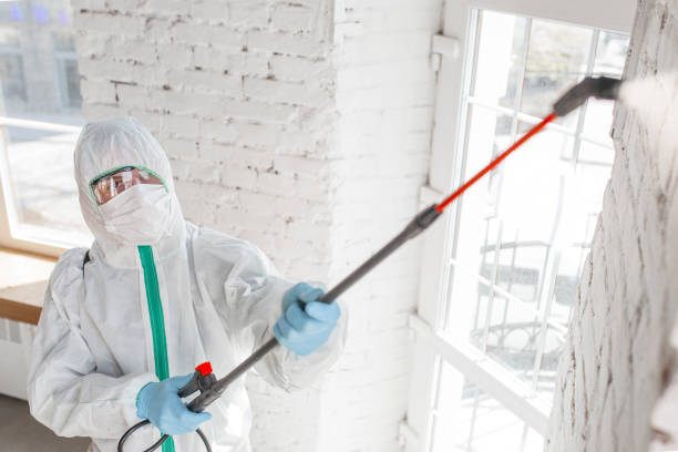 Best Biohazard Mold Removal  in Karnes City, TX