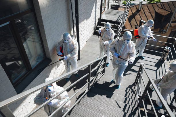 Best Environmental Consulting for Mold Prevention  in Karnes City, TX