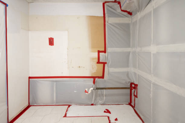 Best Emergency Mold Remediation  in Karnes City, TX