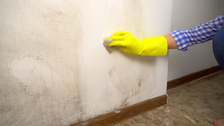 Best Black Mold Removal  in Karnes City, TX