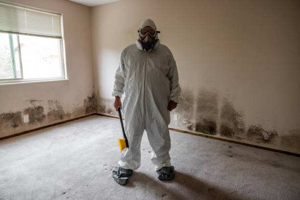 Best Biohazard Mold Removal  in Karnes City, TX