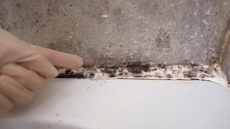 Best Mold Odor Removal Services  in Karnes City, TX